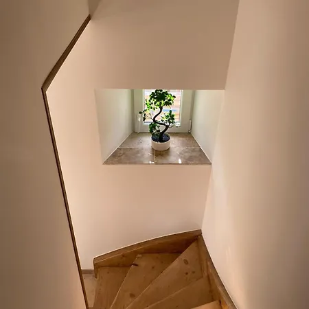 Maison Dans Un Havre De Paix